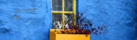 yellow window and planter on a blue wall
